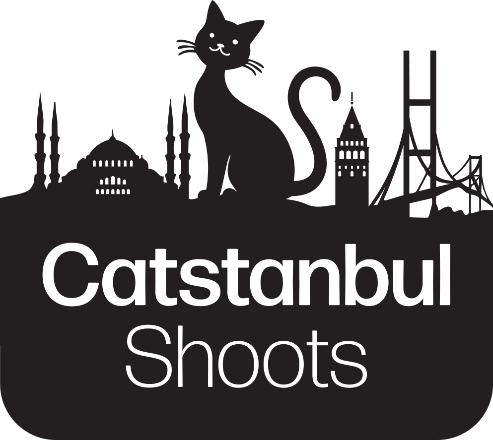 Main Logo