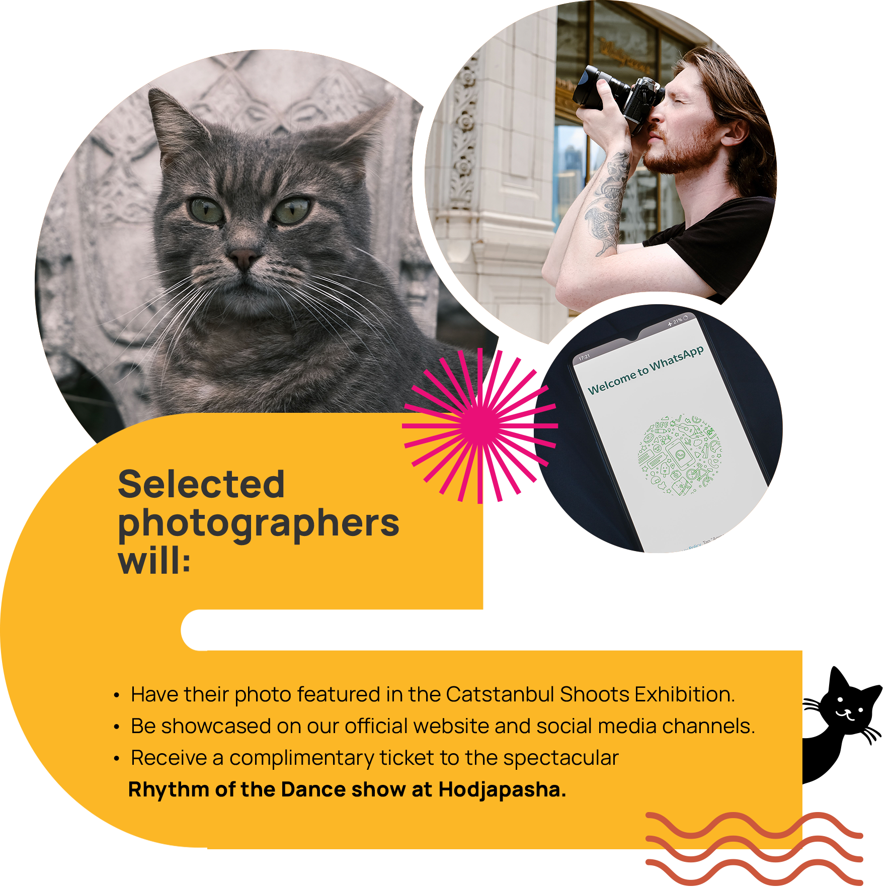 Join the Catstanbul Challenge